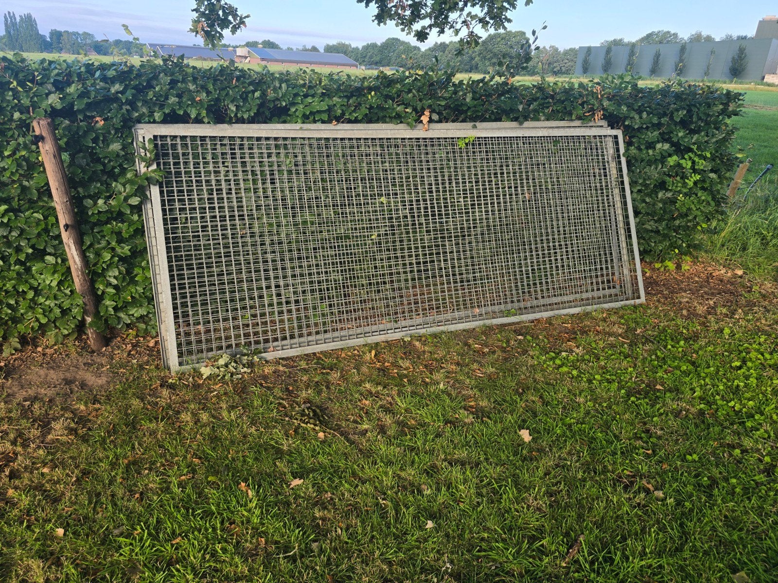 Gegalvaniseerde gazen panelen gaas 5x5, Ophalen, IJzer, Gaashekwerk