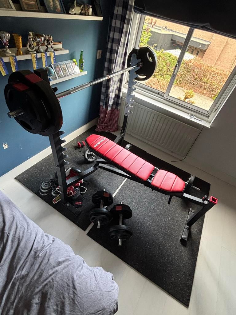 Bankdrukset, halters, curlbar, gewichten, dempmatten, Sport en Fitness, Ophalen, Gebruikt, Rug, Fitnessbank