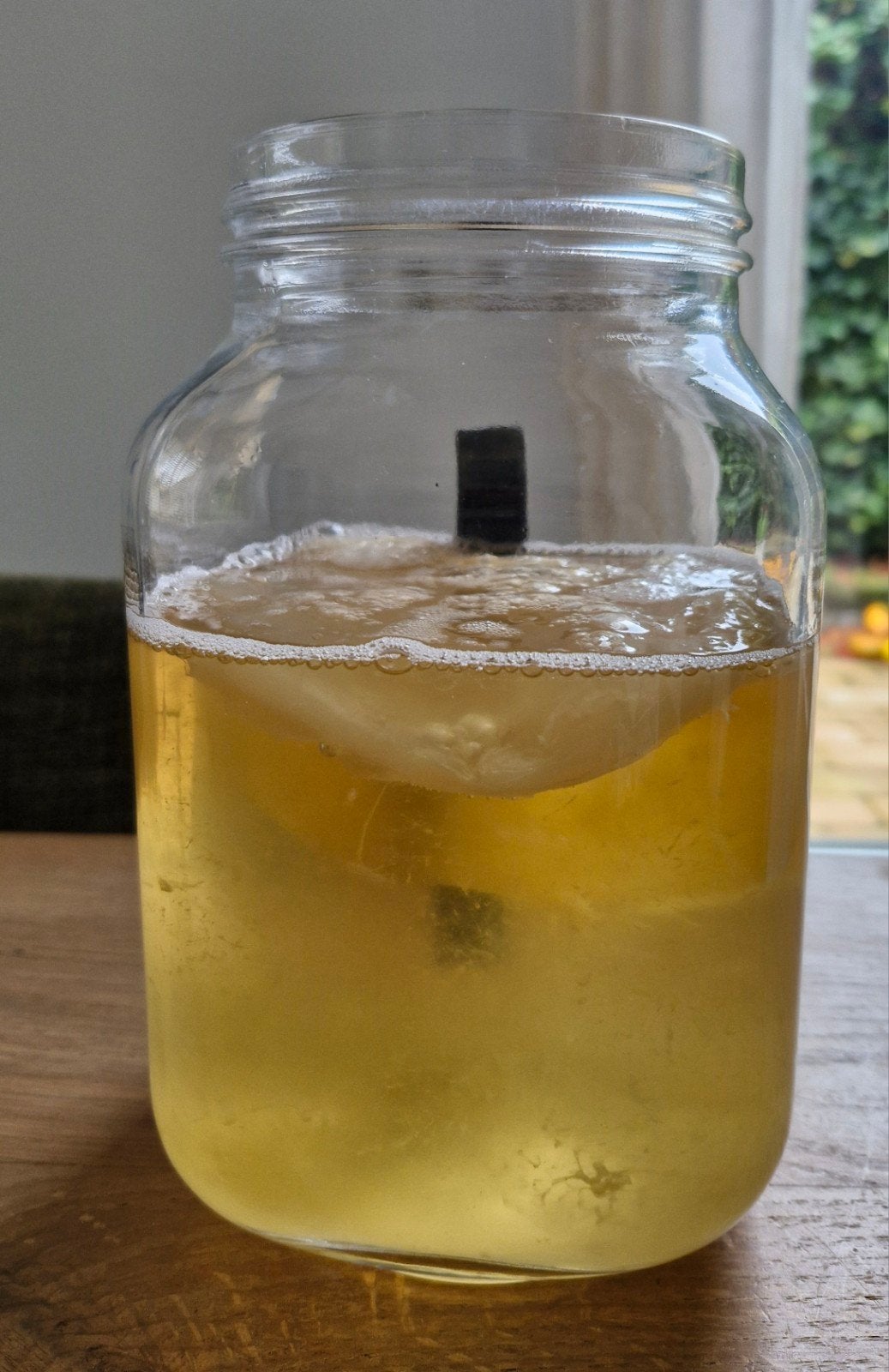 Scoby/kombuchazwammen gratis, Diversen, Ophalen