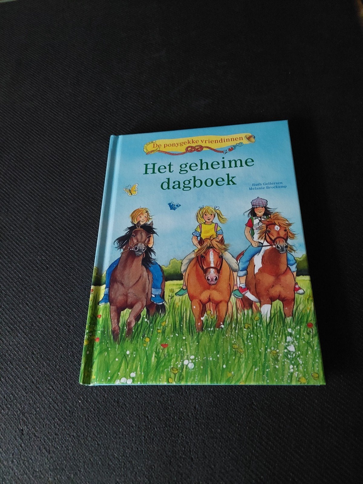 Het geheime dagboek - De ponygekke vriendinnen, Boeken, Ophalen of Verzenden, Gelezen, Ruth Gellersen, Fictie