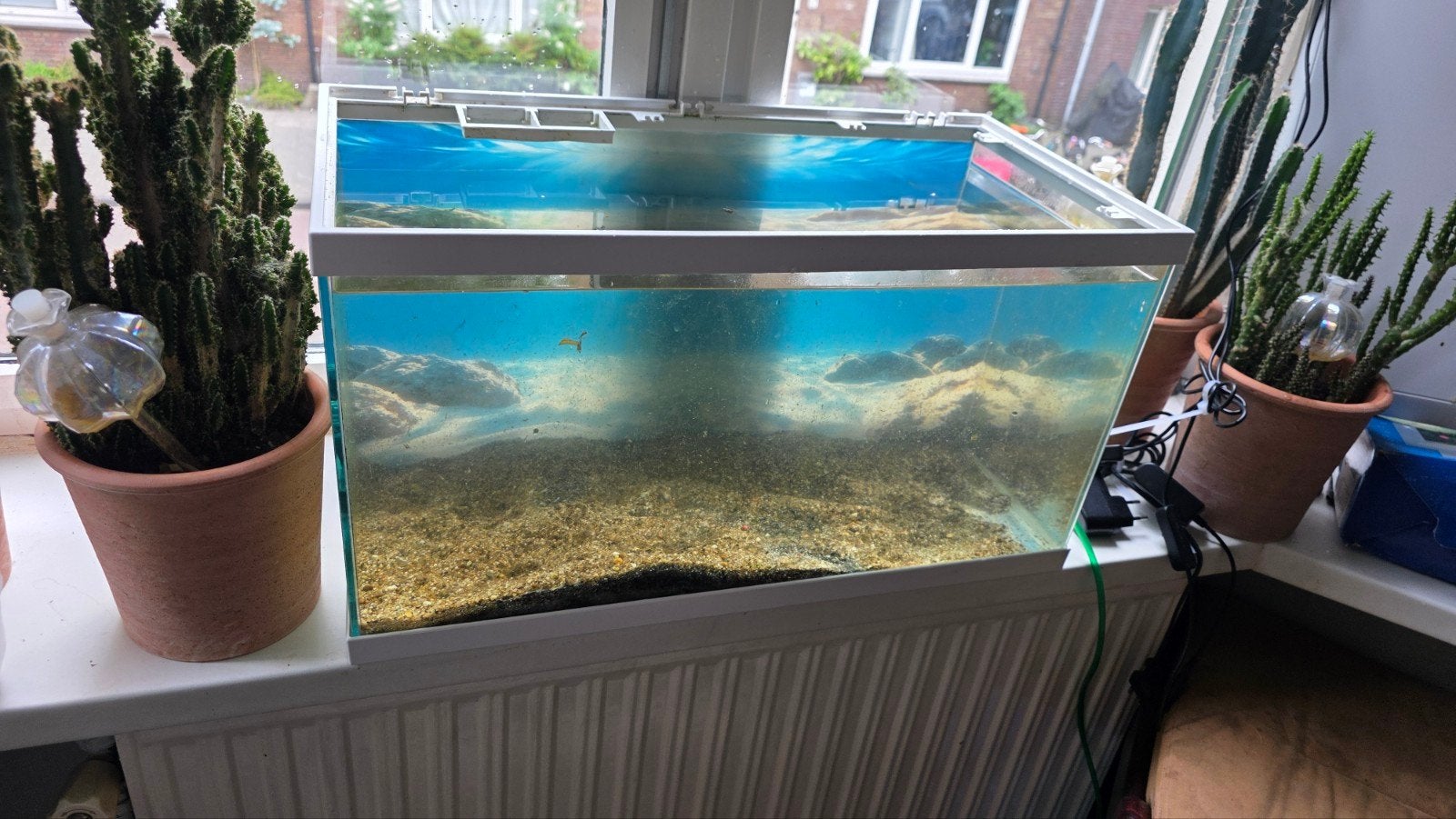 Ciano Aquarium Aqua 60 - Led - Wit - 60L, Dieren en Toebehoren, Overige merken, Zo goed als nieuw, Filter, Ophalen