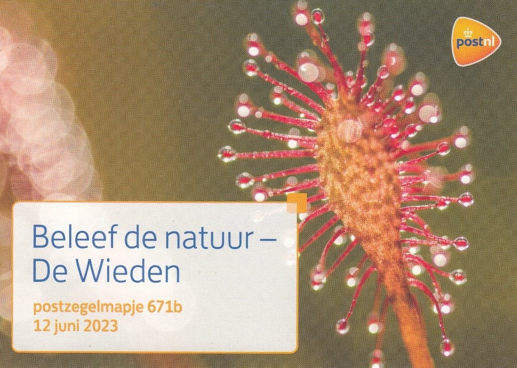 Nederland- 11.45.8- 2023 - PZM-671-B- De Wieden- P, Verzenden, Na 1940, Postfris