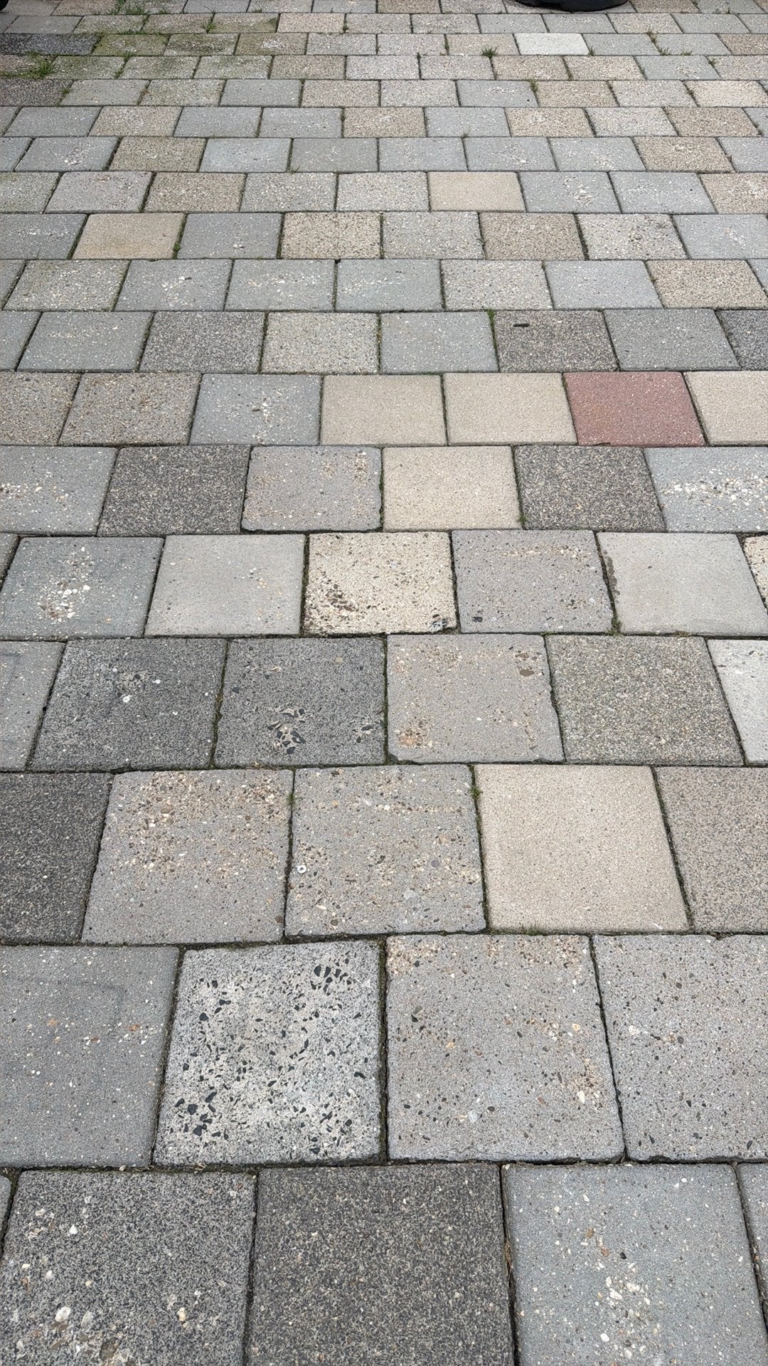 Gratis af te halen: +/- 20m2 gebruikte stoeptegels, Tuin en Terras, Ophalen, Gebruikt, 10 m² of meer, Beton
