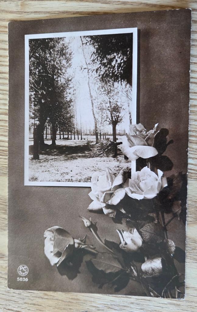 Antieke Franse ansichtkaart - Landschap bomen en rozen, Verzenden, Voor 1920, Ongelopen, Overige thema's