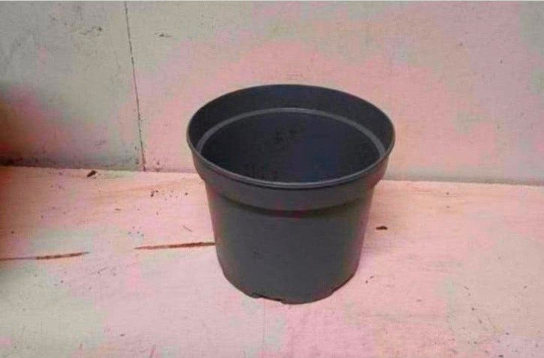 kweekpotten plantenpotten bloempotten 2 liter, Kunststof, Gebruikt, Rond, Ophalen of Verzenden