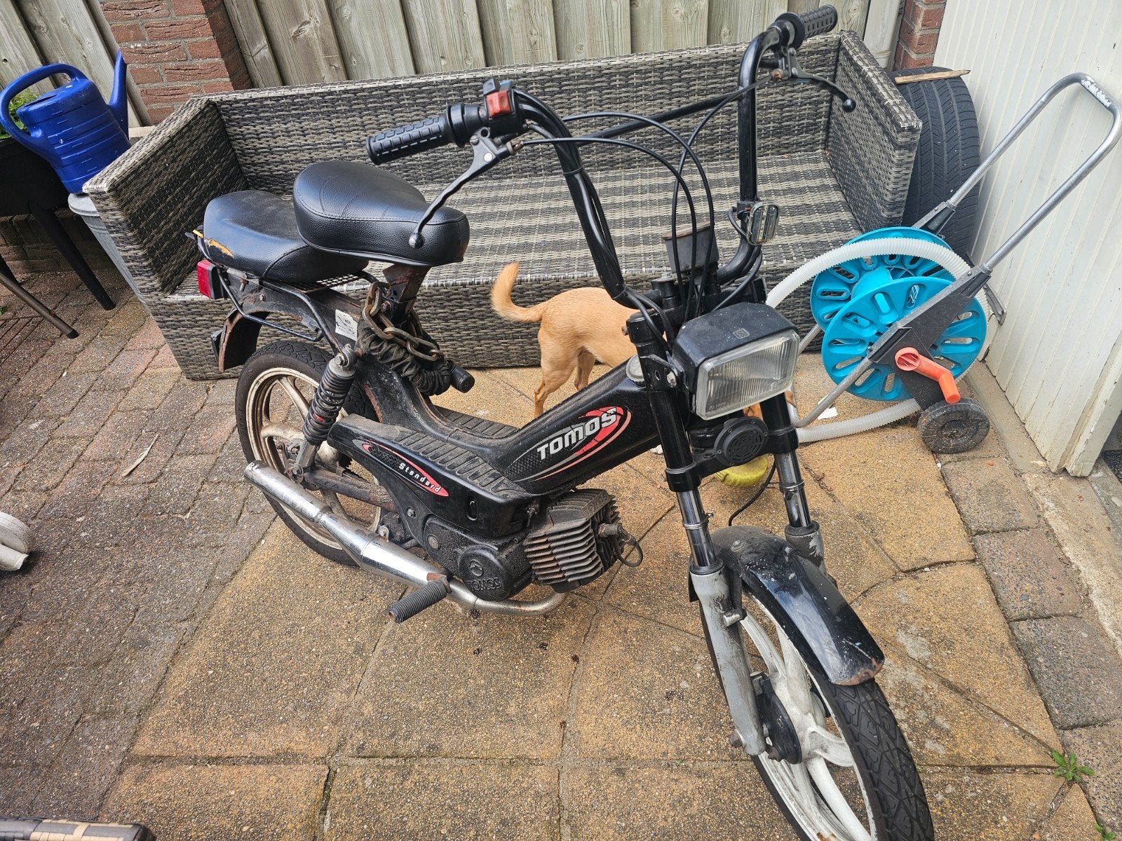Tomos Standard Snorfiets - Opknapper, Fietsen en Brommers, Brommers | Tomos, Ophalen of Verzenden, Gebruikt, Maximaal 25 km/u