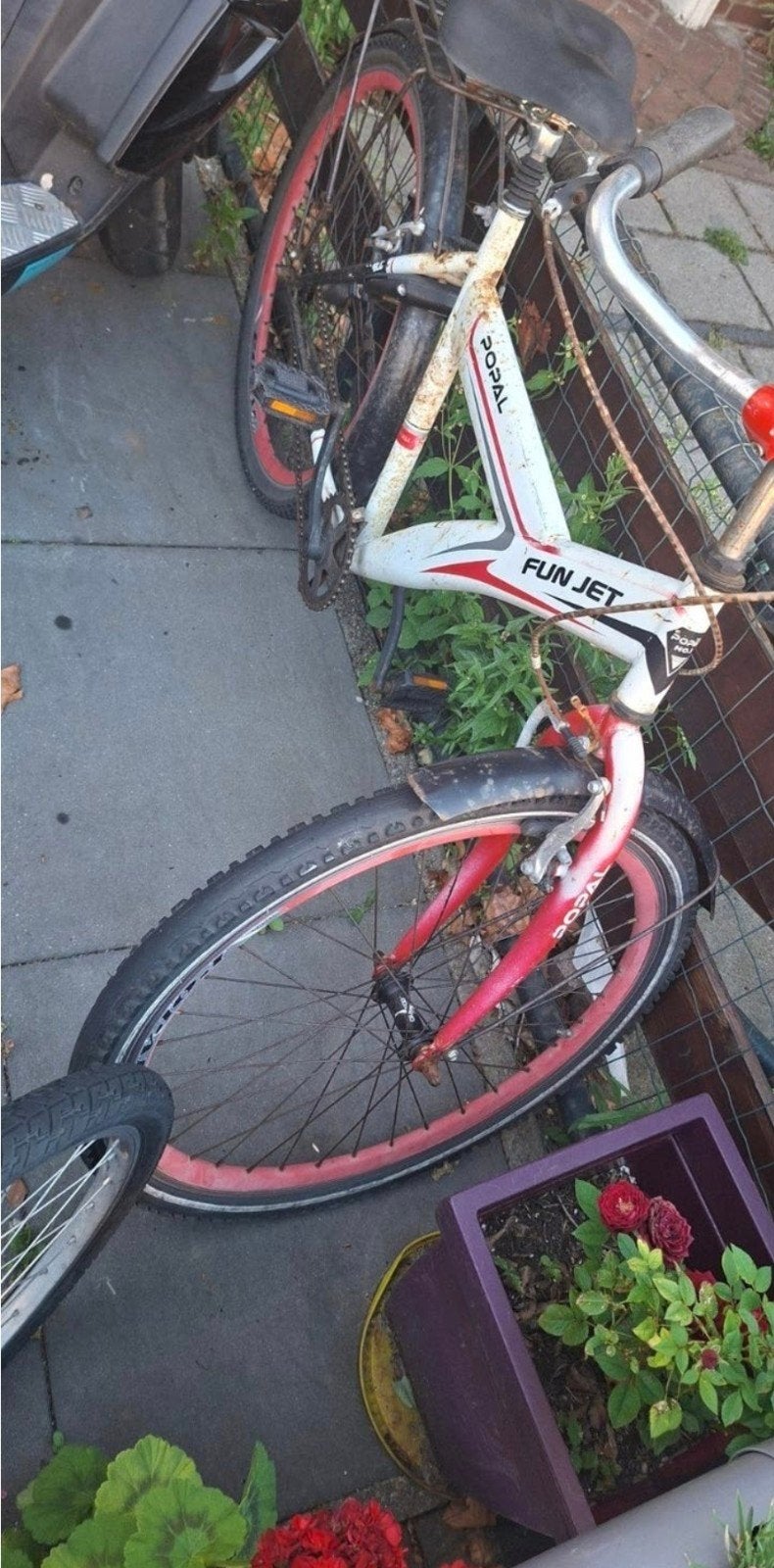 Gebruikte fiets, Ophalen, Gebruikt