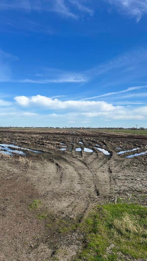 Gevraagd akkerbouw grond om te huren dit jaar, Zakelijke goederen, Agrarisch | Agrarisch Onroerend goed, Ophalen of Verzenden