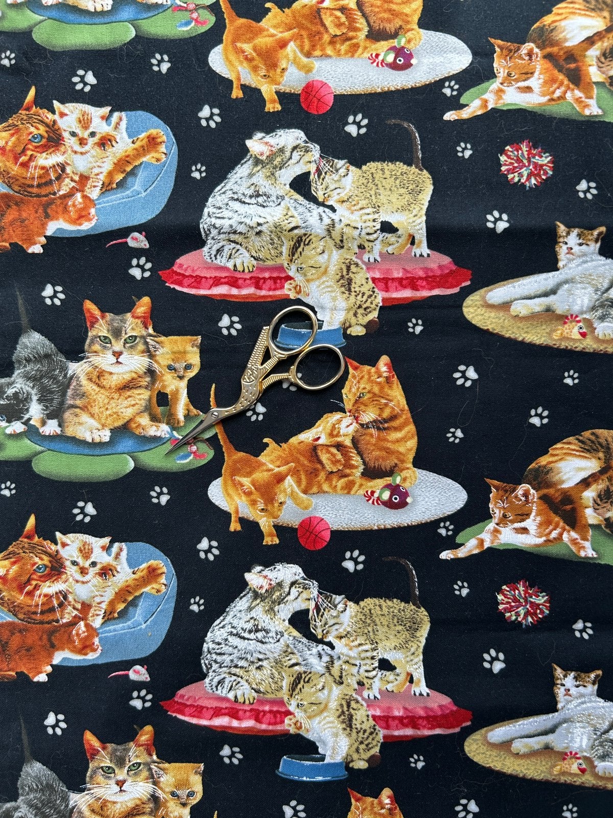 patchwork-/quiltstof met katten en kittens, Hobby en Vrije tijd, 120 cm of meer, Nieuw, Ophalen of Verzenden, Katoen