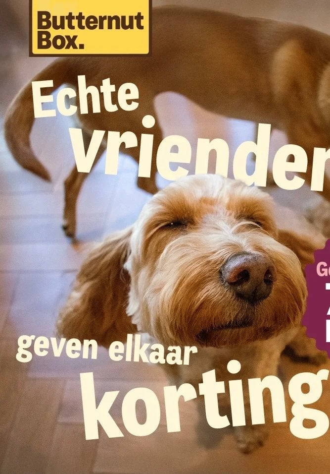 70 % korting op je eerste en 30% op je tweede Butternutbox, Dieren en Toebehoren, Ophalen, Hond