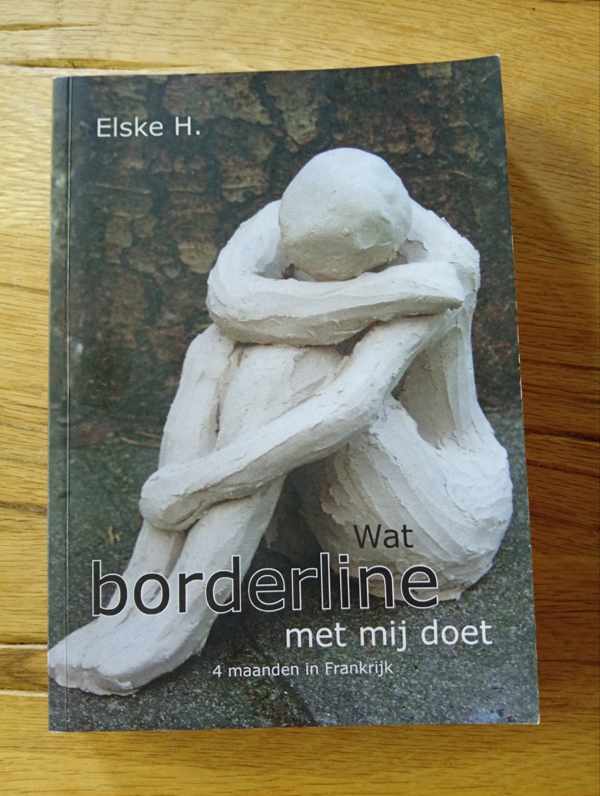 Wat borderline met mij doet - Elske H. (Dagboek), Boeken, Gelezen, Elske H., Ophalen of Verzenden, Nederland
