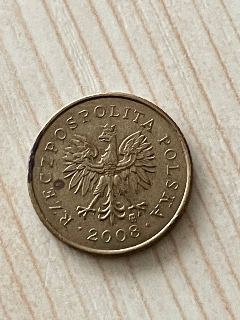 Polen Munt  1 Grosz 2008, Ophalen of Verzenden, Polen, Losse munt