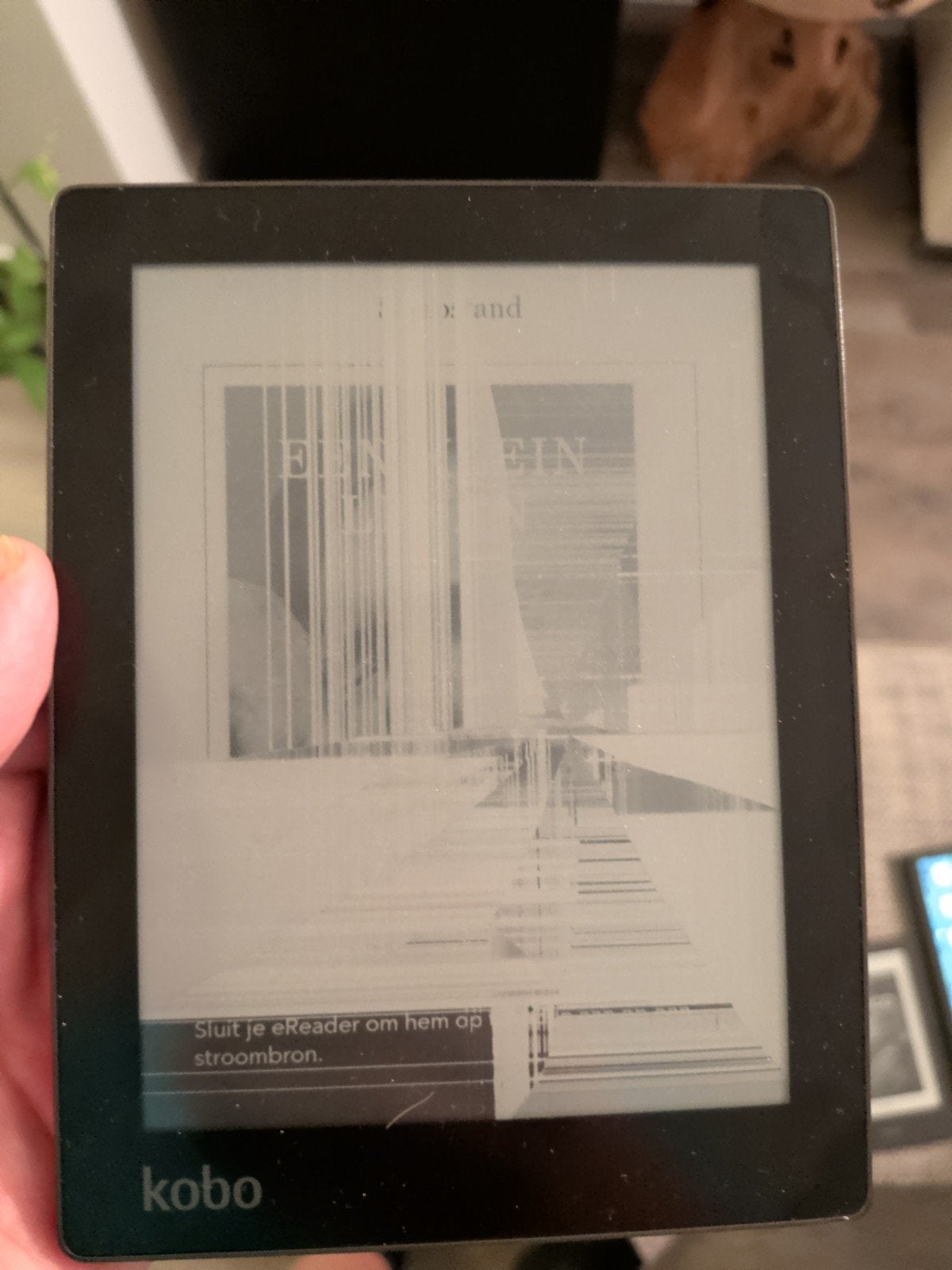 Kobo eReader met defect scherm, Computers en Software, E-readers, Ophalen, 6 inch of minder, Kobo, Wi-Fi