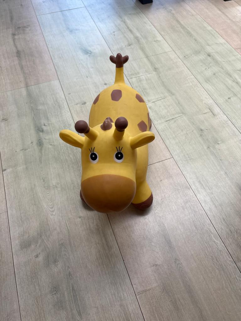 Springdier Giraf - Leuk en Veilig Speelplezier voor Kinderen, Ophalen, Gebruikt, Overige typen