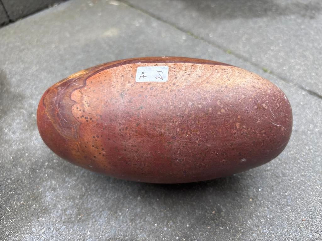 Shiva ligham xl, Ophalen of Verzenden