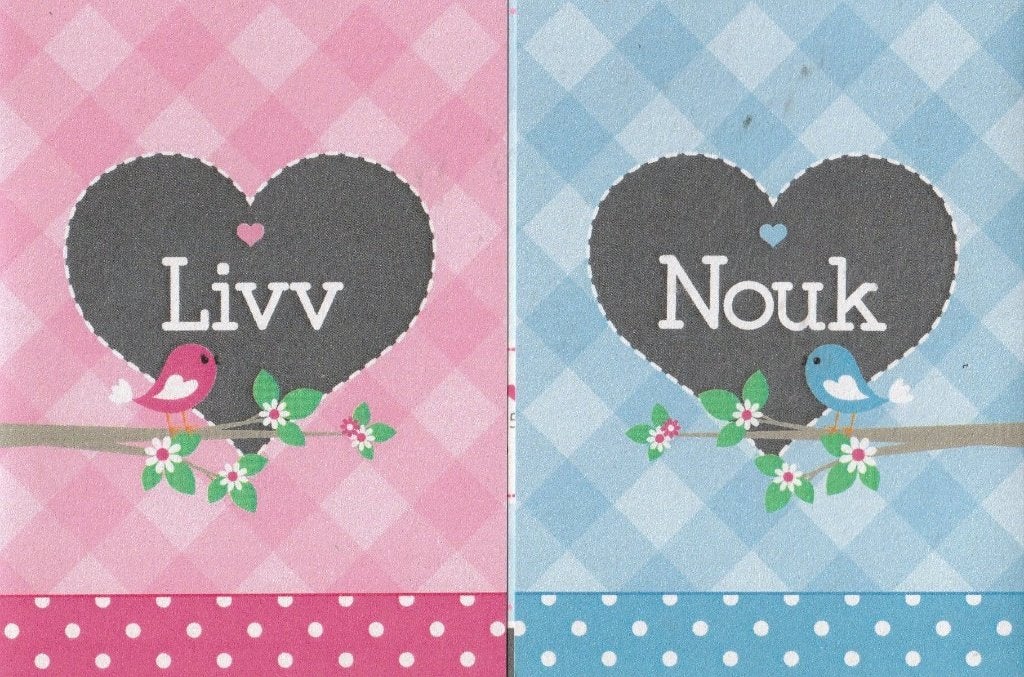 Livv & Nouk, Ophalen of Verzenden, 2000 tot heden, Geboortekaartje