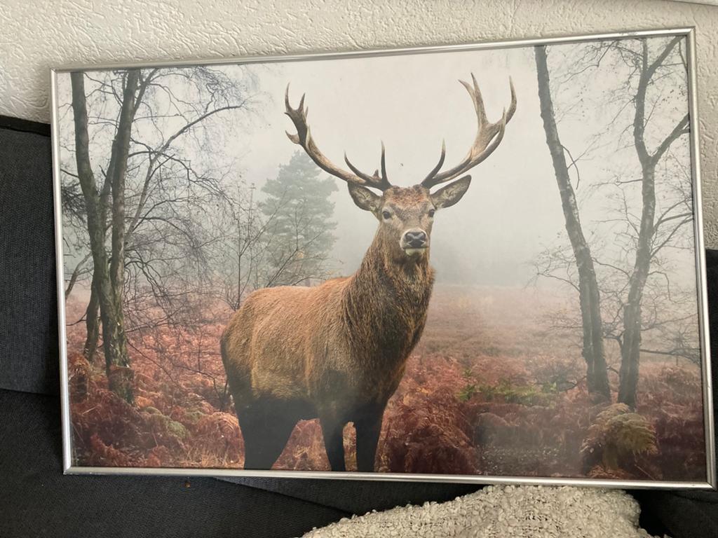 Ikea afbeelding in lijst  93x72, Huis en Inrichting, Ophalen, Zo goed als nieuw, 75 tot 100 cm, Foto of Poster