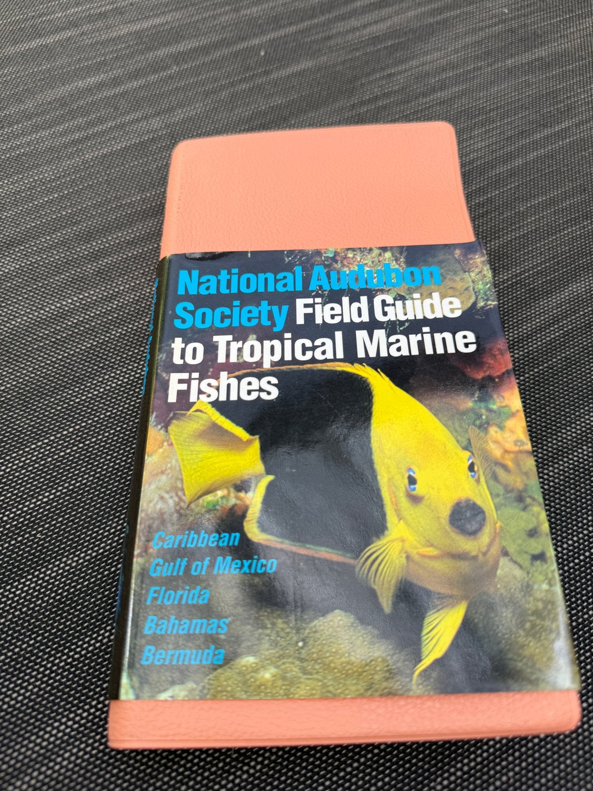 Vissengids National Audubon Society, Ophalen of Verzenden, Gelezen, Natuur algemeen
