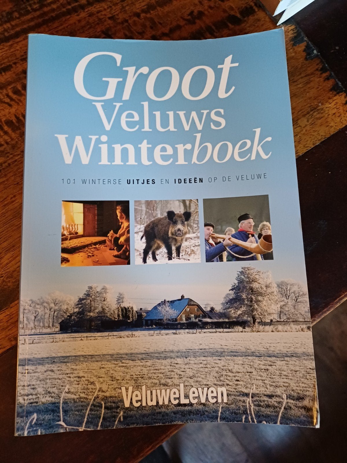 Groot Veluws Winterboek - 101 winterse uitjes en ideeën, Boeken, Ophalen of Verzenden, Zo goed als nieuw, VeluweLeven, Overige onderwerpen