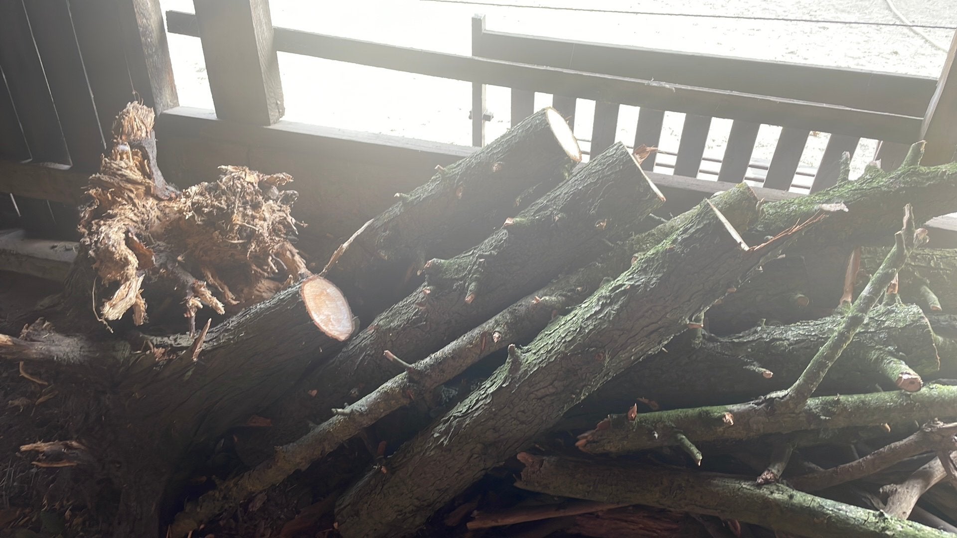 Haardhout, Tuin en Terras, Haardhout, Minder dan 3 m³, Ophalen