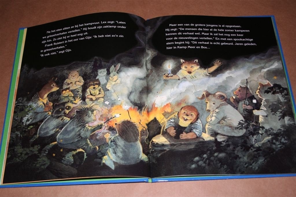 Het spookkamp – Groot prentenboek vol kleur en spanning, Ophalen of Verzenden, Zo goed als nieuw, Prentenboek