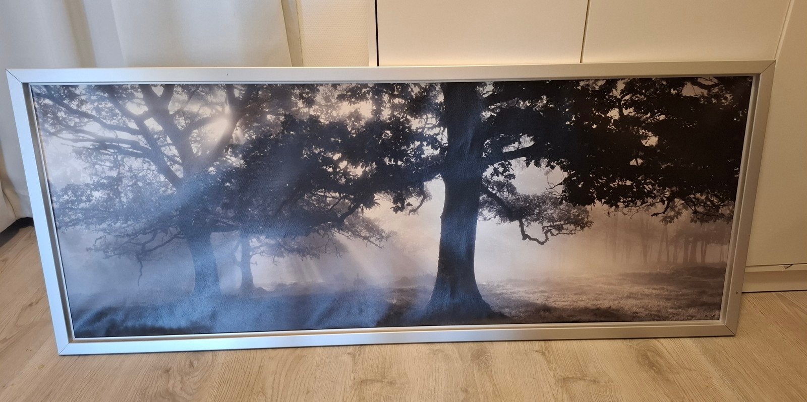 Mooie ingelijste foto van bos met mist, Ophalen, 50 – 75, Gebruikt, 100 tot 125 cm