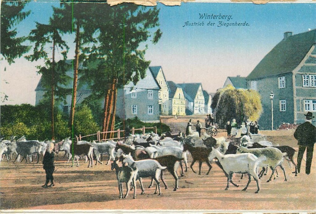 701-423-011 Winterberg, Verzenden, Voor 1920, Duitsland