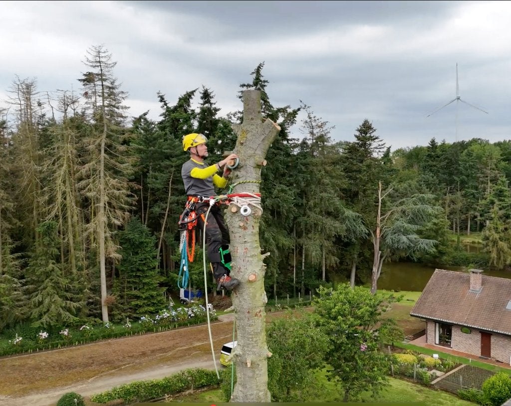 Bomen rooien, Ophalen