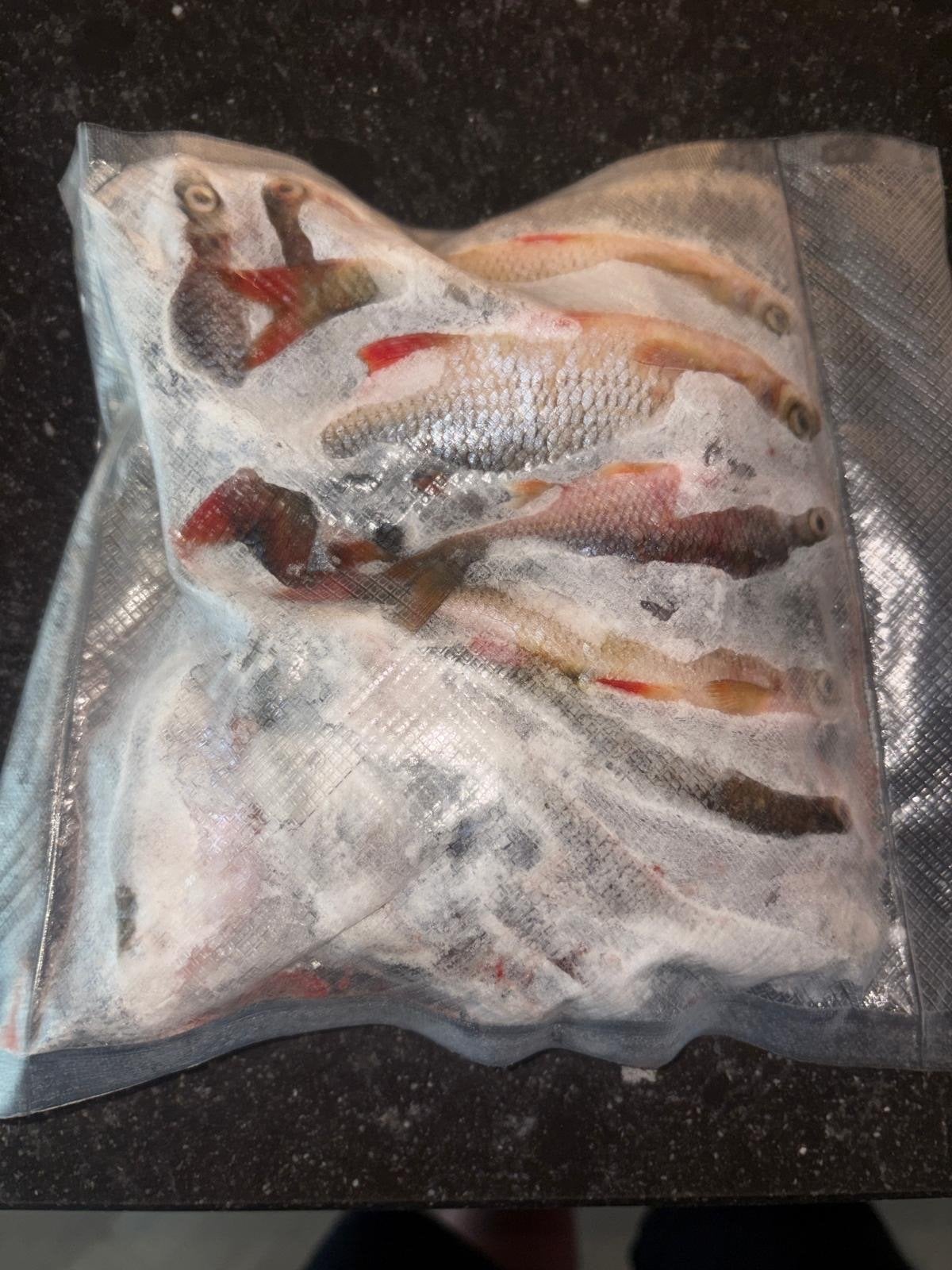 23 Dood aas voor 17 euro, Ophalen, Gebruikt, Overige typen