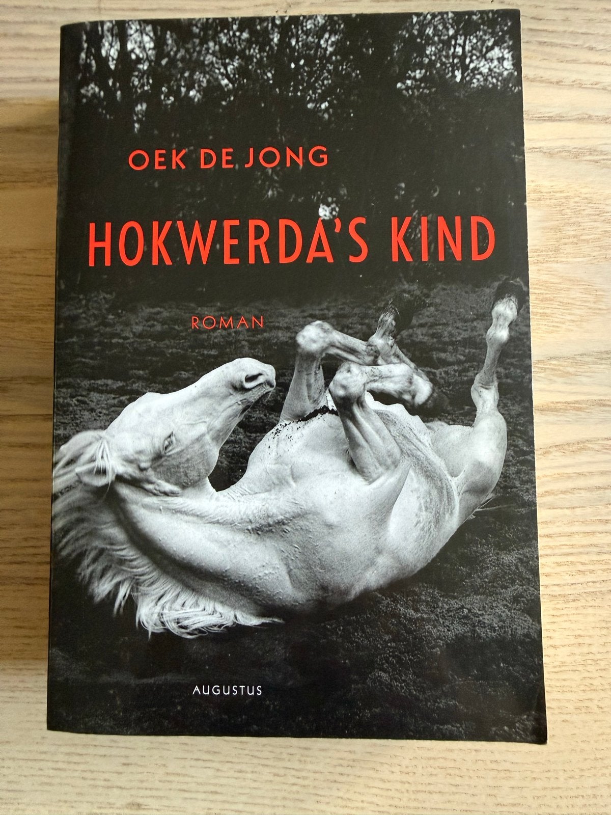 Hokwerda's Kind - Oek de Jong (Roman), Boeken, Ophalen of Verzenden, Gelezen, Nederland