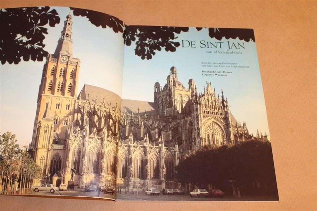De Sint Jan van \'s-Hertogenbosch — Kathedraal, Fotoboek 198, Boeken, Geschiedenis | Stad en Regio, Ophalen of Verzenden, Zo goed als nieuw