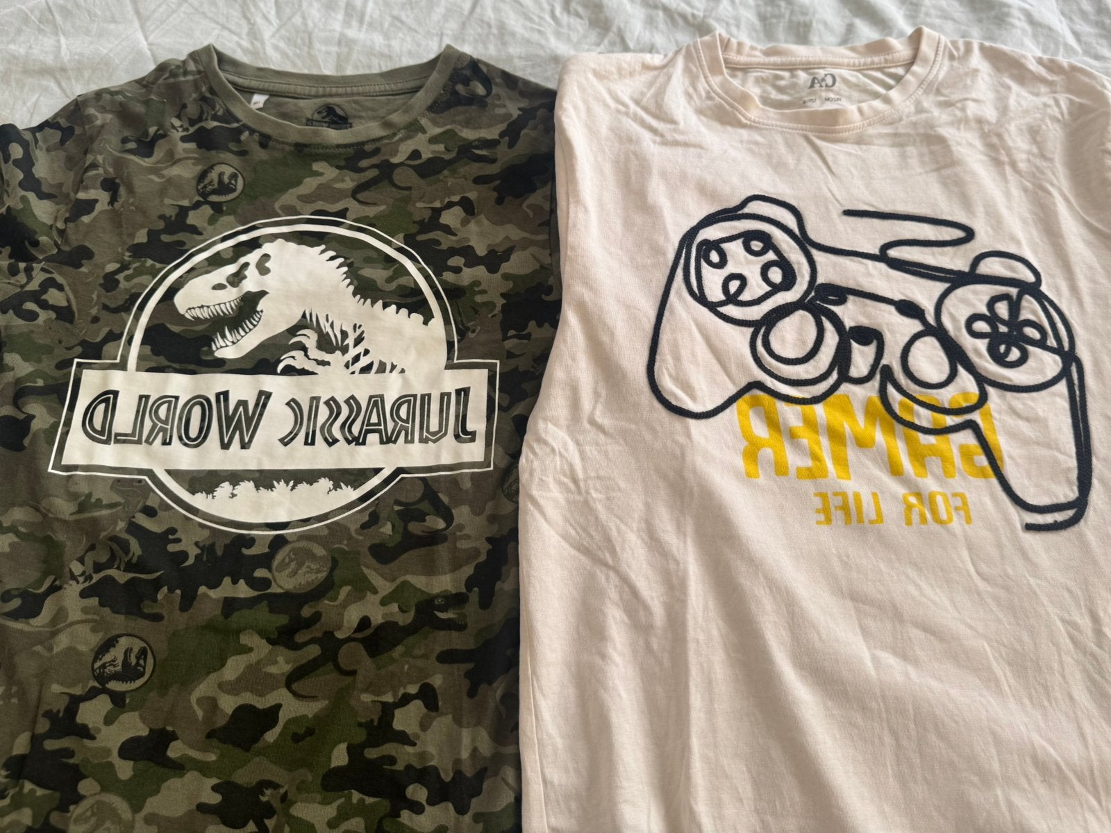 Diverse T-shirts: Jordan, Garfield, Jurassic World, Zara, Ophalen of Verzenden, Gedragen, Maat 48/50 (M), Meerkleurig