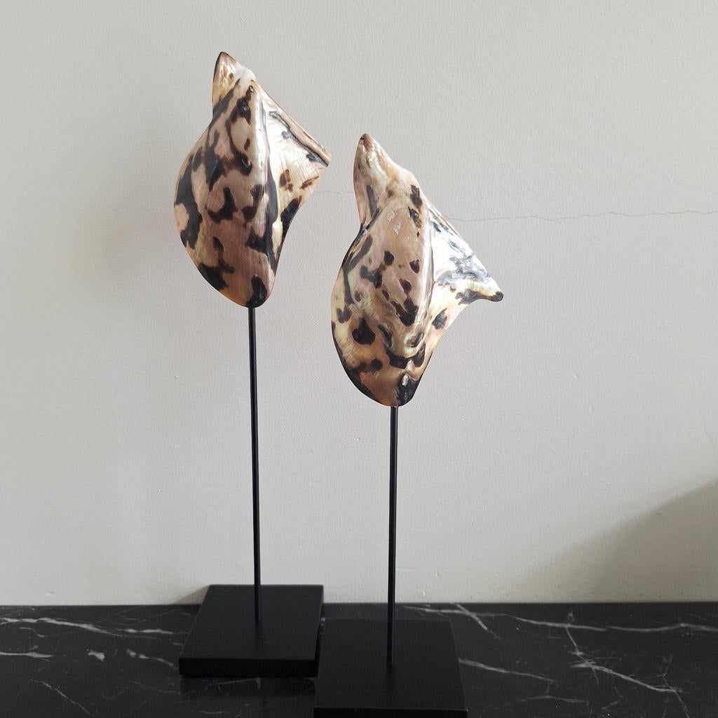 Parelmoer taupe bruine schelpen ornament bali stijl, Huis en Inrichting, Nieuw, Ophalen of Verzenden, X, X