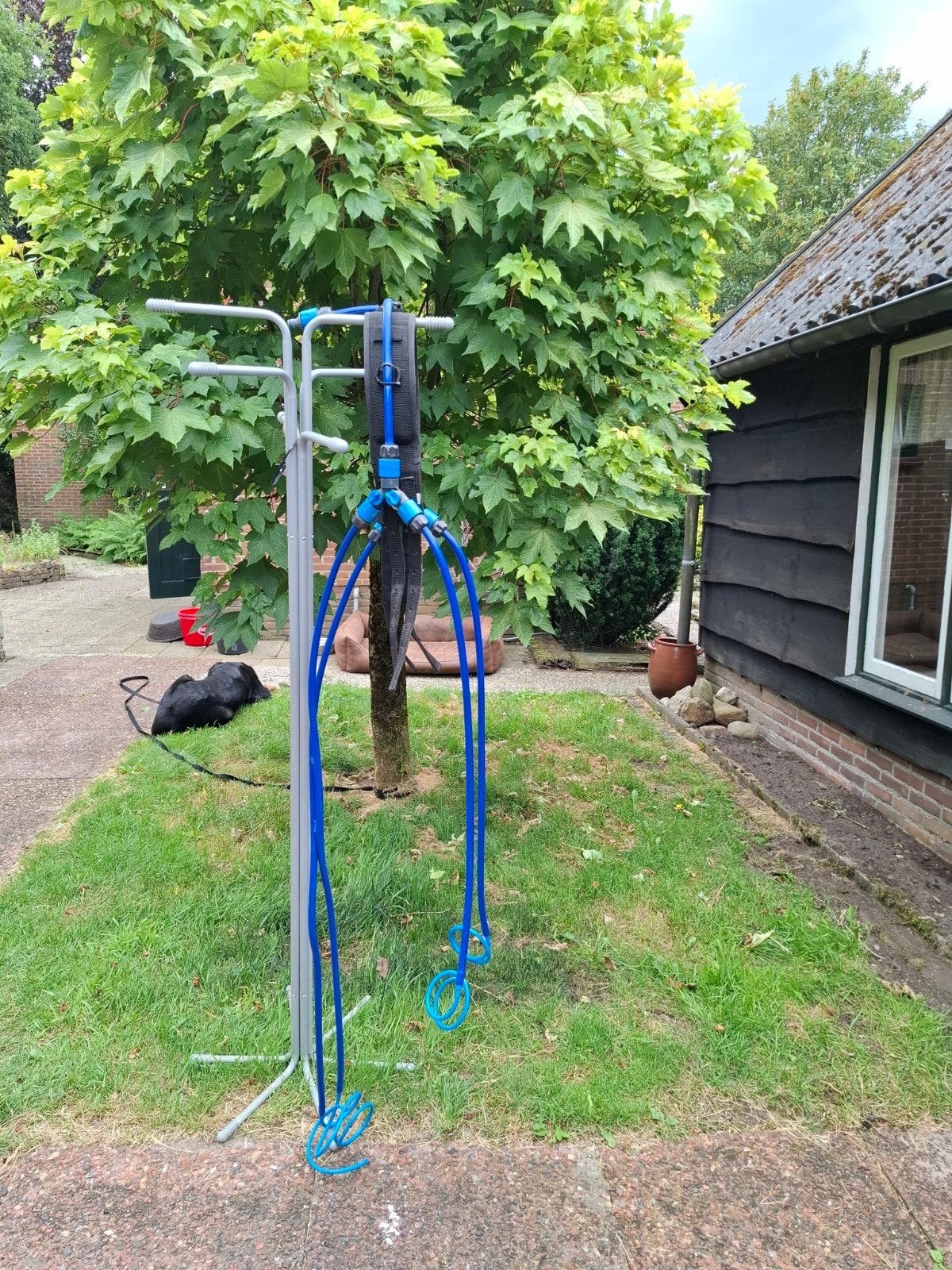 Equine leg cooler, Ophalen of Verzenden