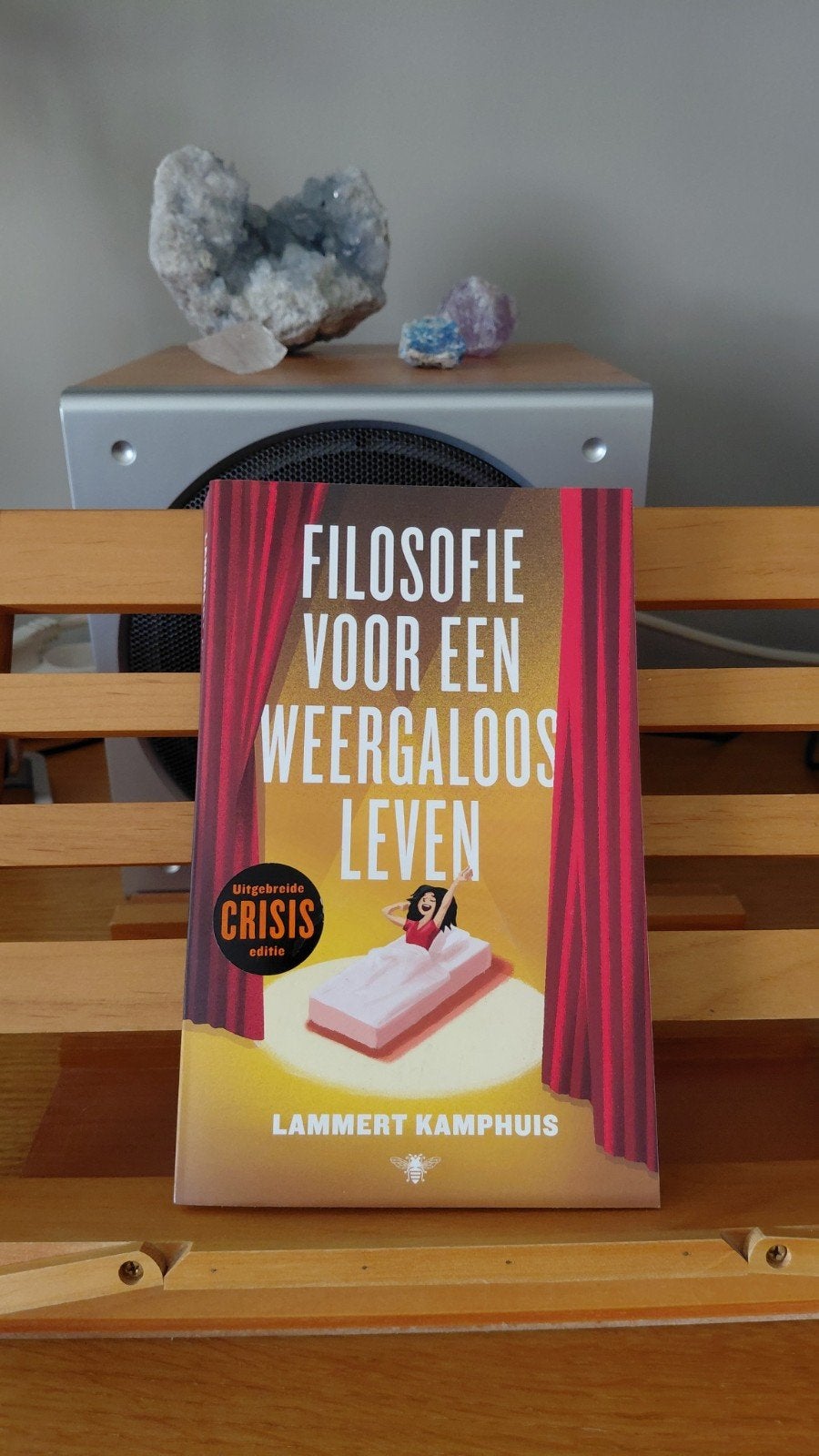 Filosofie voor een Weergaloos Leven - Lammert Kamphuis, Boeken, Ophalen of Verzenden, Zo goed als nieuw, Praktische filosofie