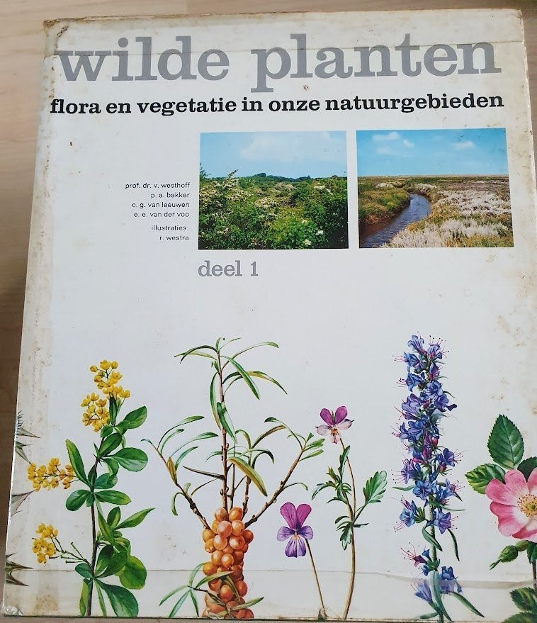 WILDE PLANTEN, Westhoff, deel 1, Boeken, Gelezen, Bloemen, Planten en Bomen, Westhoff e.a., Ophalen of Verzenden