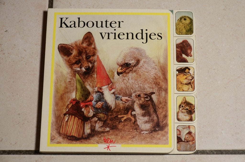Div Kabouter boekjes / Rien Poortvliet € 4 p/s, Ophalen of Verzenden, Gelezen