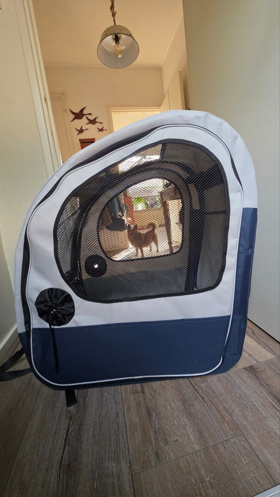 Petsafe Happy Ride Collapsible Travel Carrier, Dieren en Toebehoren, Honden-accessoires, Ophalen, Nieuw