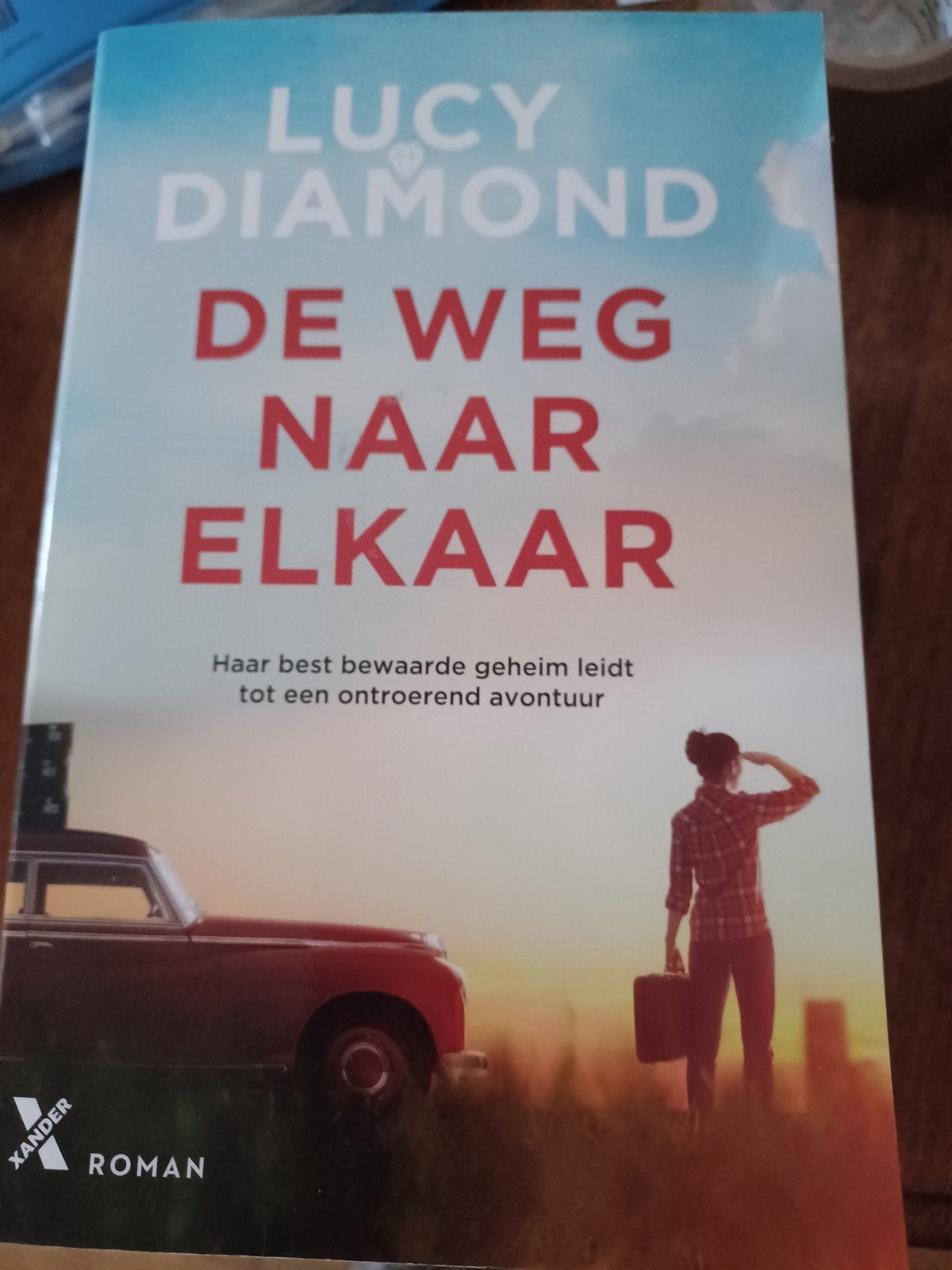 Lucy Diamond - De weg naar elkaar, Boeken, Ophalen of Verzenden, Zo goed als nieuw, Lucy Diamond