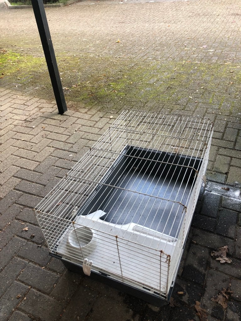 Konijnenhok met losse ren, Ophalen, 90 cm of meer, Konijn, Hok