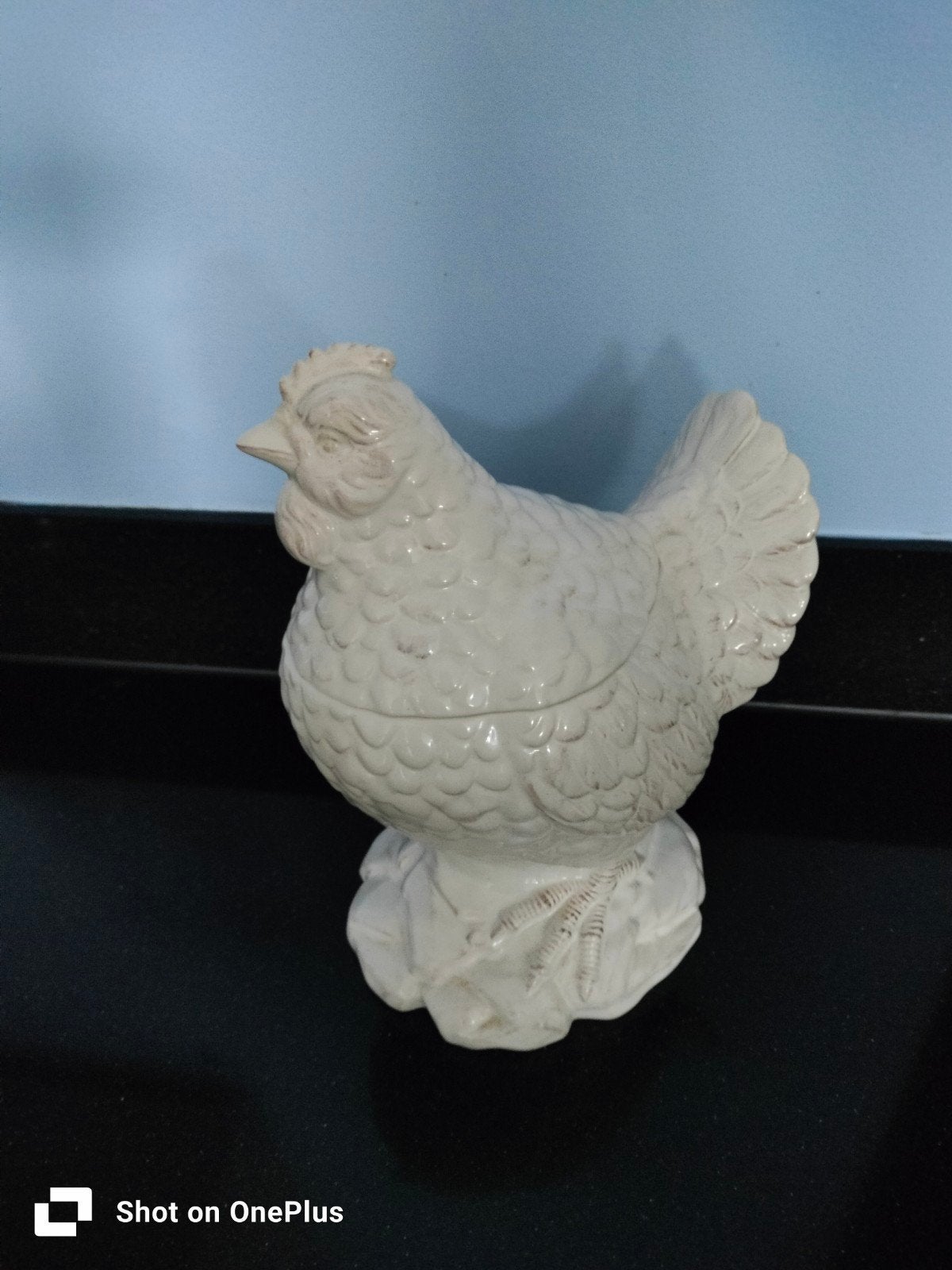 Decoratieve stenen kip, Ophalen, Zo goed als nieuw, Dier