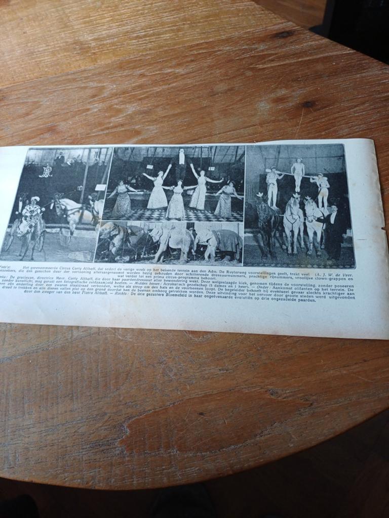 Knipsel circus Corty Althoff dressuurnummers 1915, Verzamelen, Tijdschriften, Kranten en Knipsels, Ophalen of Verzenden, Voor 1920