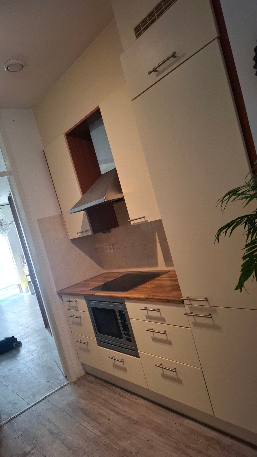 Complete keuken zonder inbouwapparatuur, Ophalen, Gebruikt, Enkelwandige keuken, Hout