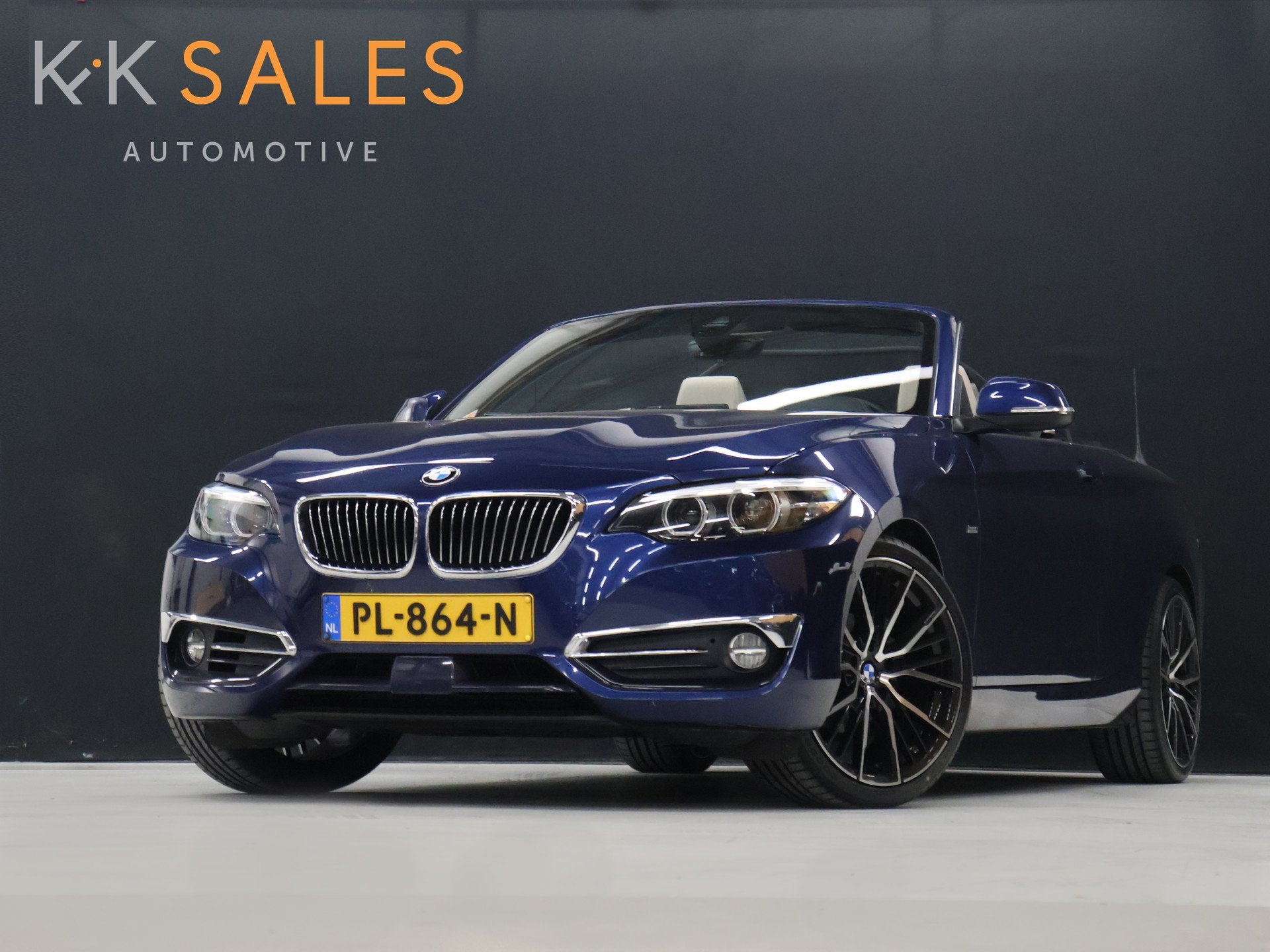BMW 2 Serie Cabrio 218i High Executive [GROOT NAVIGATIE, STO, Auto's, Automaat, Gebruikt, Cabriolet, 3 cilinders