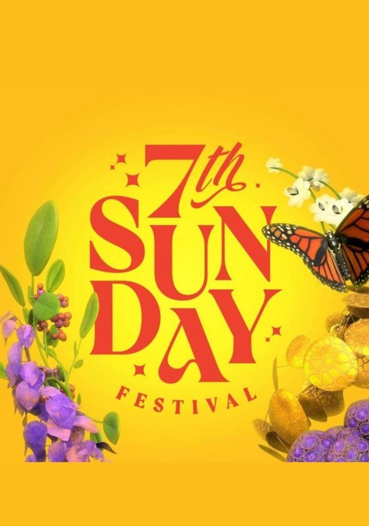 Ticket 1x 7th Sunday festival zondag 24 mei, Eén persoon