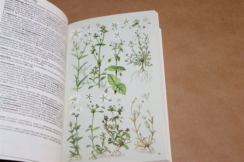 Wilde Bloemen Noordwest-Europa — Elsevier Bloemengids, Boeken, Ophalen of Verzenden, Gelezen, Bloemen, Planten en Bomen