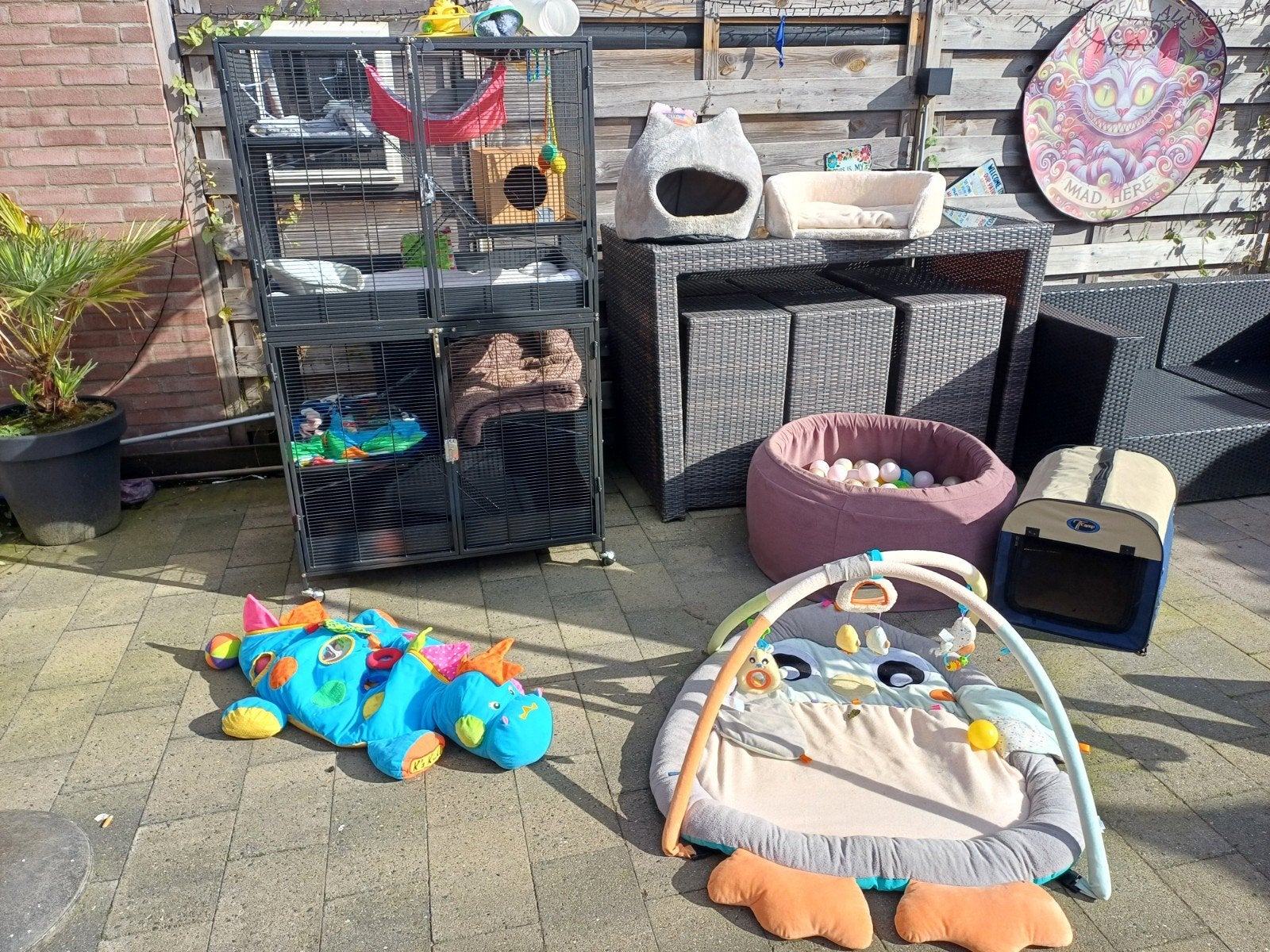 Complete uitset voor ratten of fretten, Dieren en Toebehoren, Ophalen, Zo goed als nieuw
