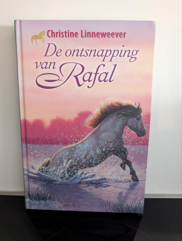 Christine Linneweever - De ontsnapping van Rafal, Ophalen of Verzenden, Zo goed als nieuw, Christine Linneweever