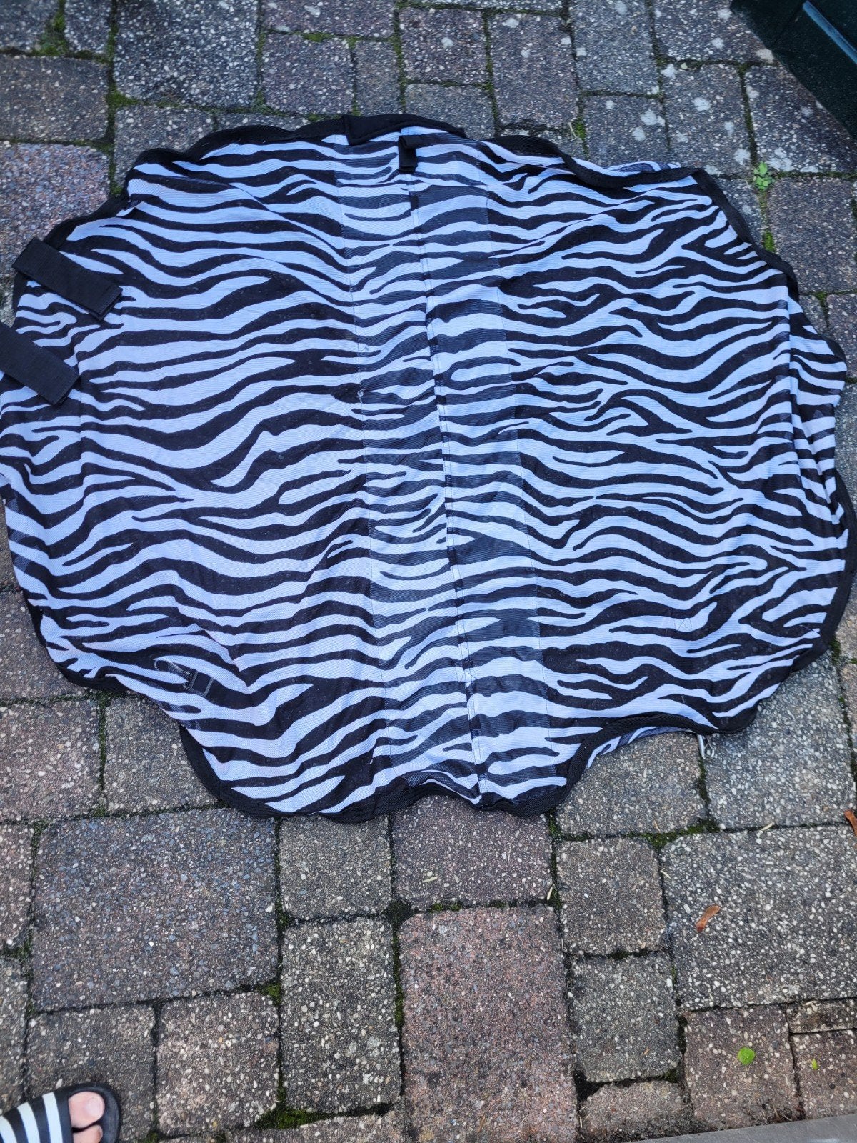 Vliegenhals Zebra maar L los., Full (L), Wit, 0 g, Vliegendeken