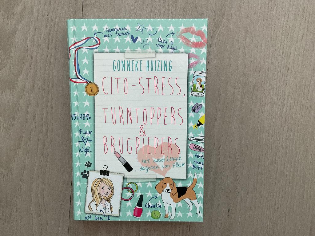 Cito-stress,turntoppers & brugpiepers, Boeken, Ophalen of Verzenden, Zo goed als nieuw, Gonneke Huizing